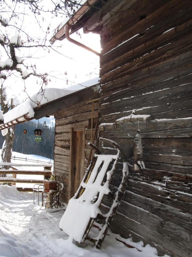 Bio-Bauernhof Einberghof Apartamento Pfarrwerfen Exterior foto