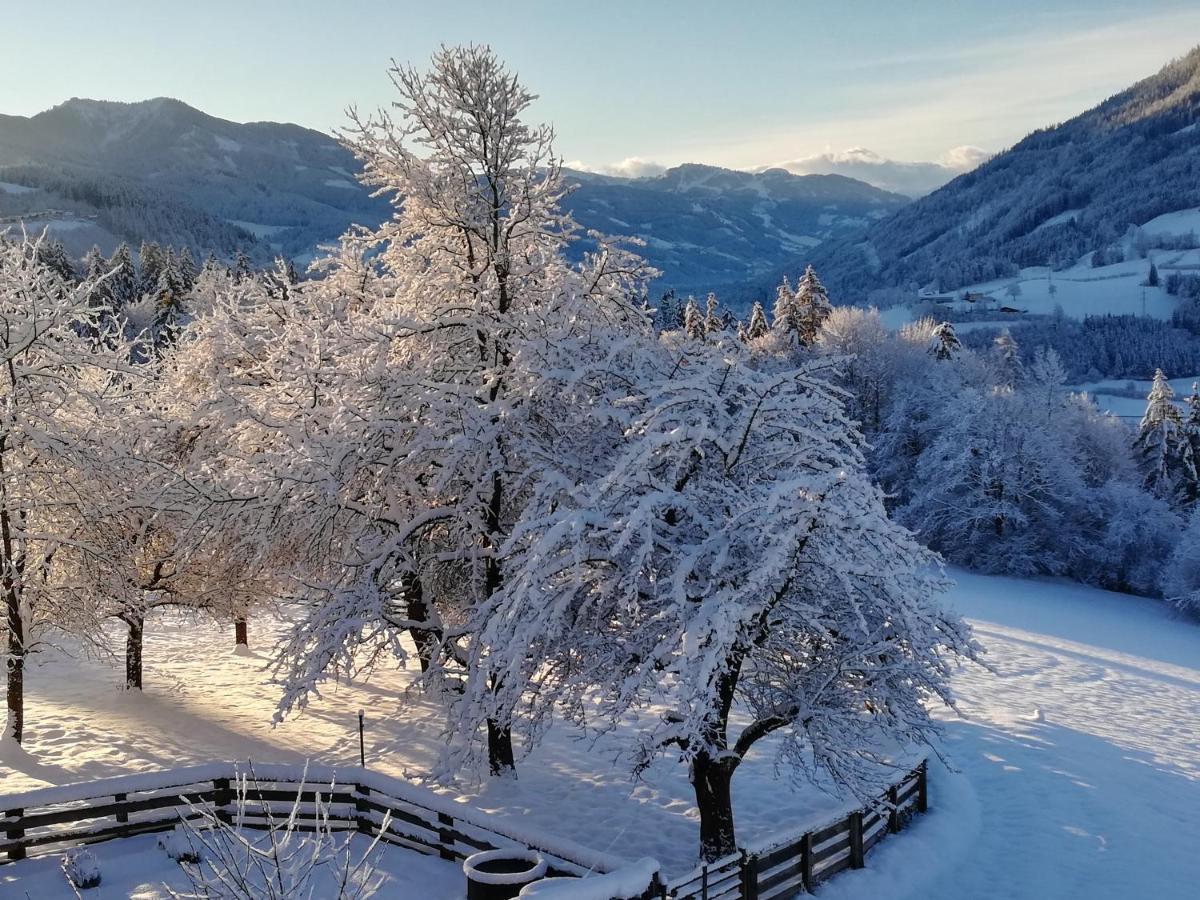 Bio-Bauernhof Einberghof Apartamento Pfarrwerfen Exterior foto