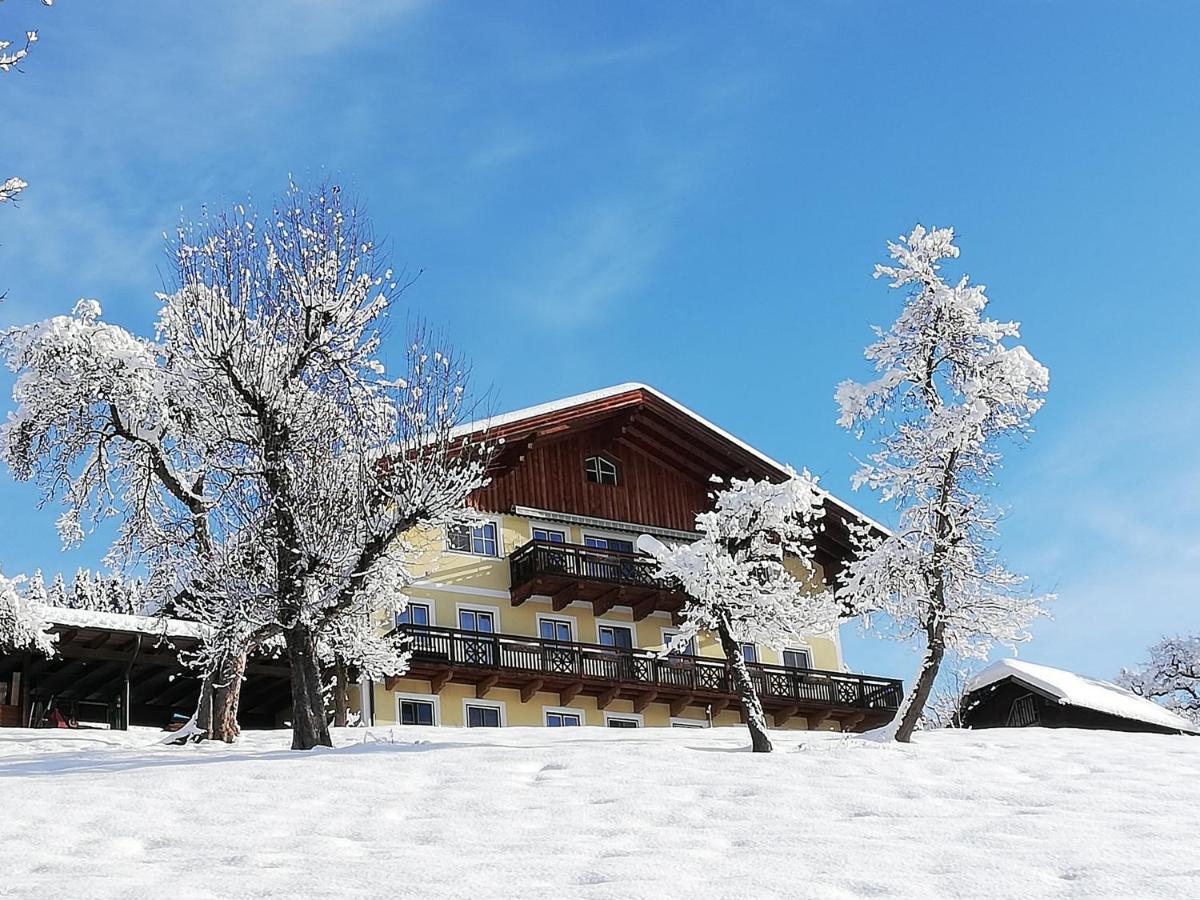 Bio-Bauernhof Einberghof Apartamento Pfarrwerfen Exterior foto
