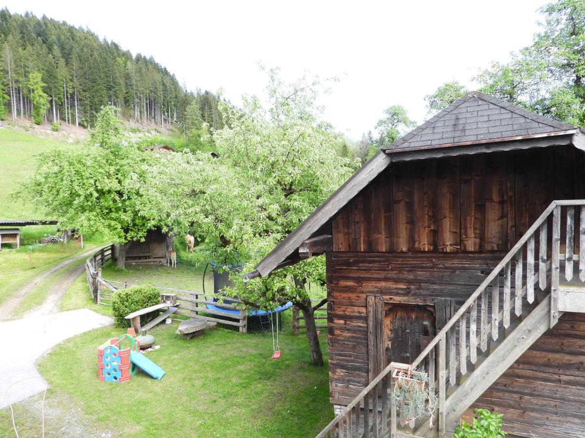 Bio-Bauernhof Einberghof Apartamento Pfarrwerfen Exterior foto
