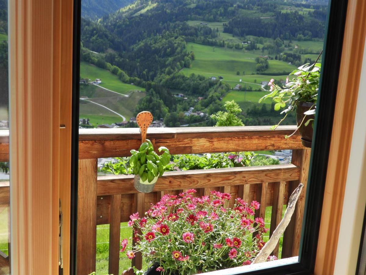 Bio-Bauernhof Einberghof Apartamento Pfarrwerfen Exterior foto