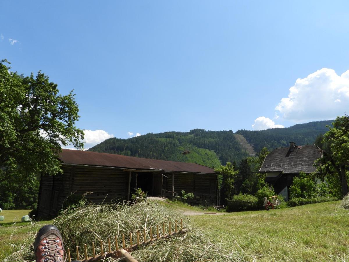 Bio-Bauernhof Einberghof Apartamento Pfarrwerfen Exterior foto