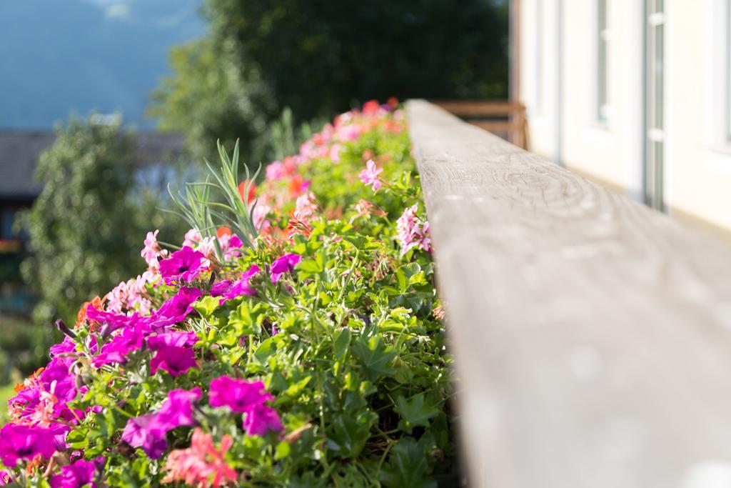 Bio-Bauernhof Einberghof Apartamento Pfarrwerfen Exterior foto
