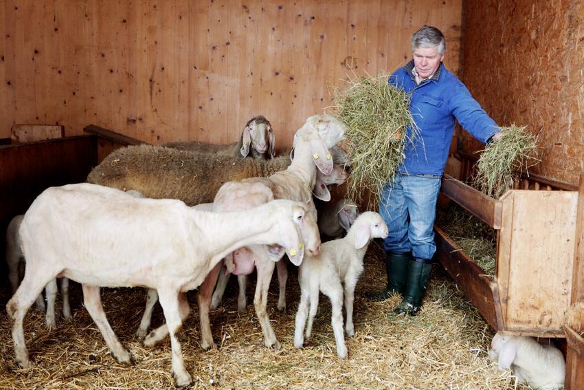 Bio-Bauernhof Einberghof Apartamento Pfarrwerfen Exterior foto