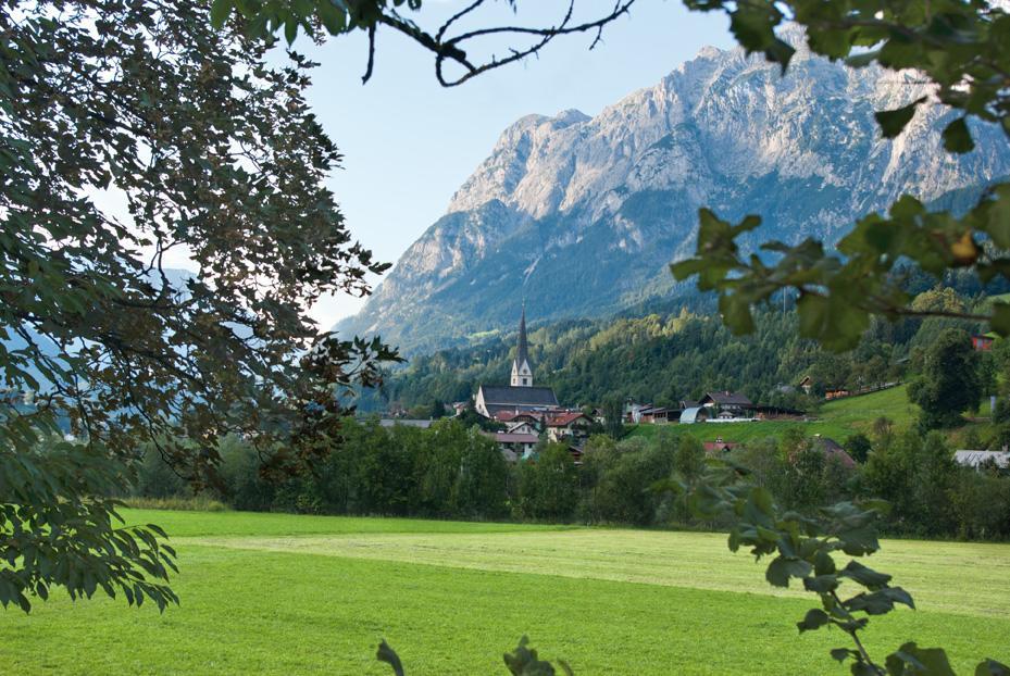 Bio-Bauernhof Einberghof Apartamento Pfarrwerfen Exterior foto