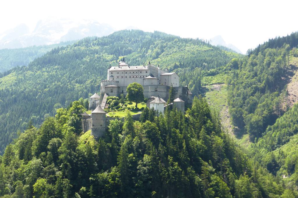 Bio-Bauernhof Einberghof Apartamento Pfarrwerfen Exterior foto