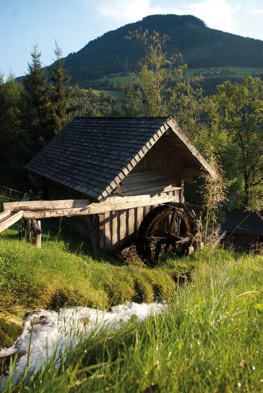 Bio-Bauernhof Einberghof Apartamento Pfarrwerfen Exterior foto