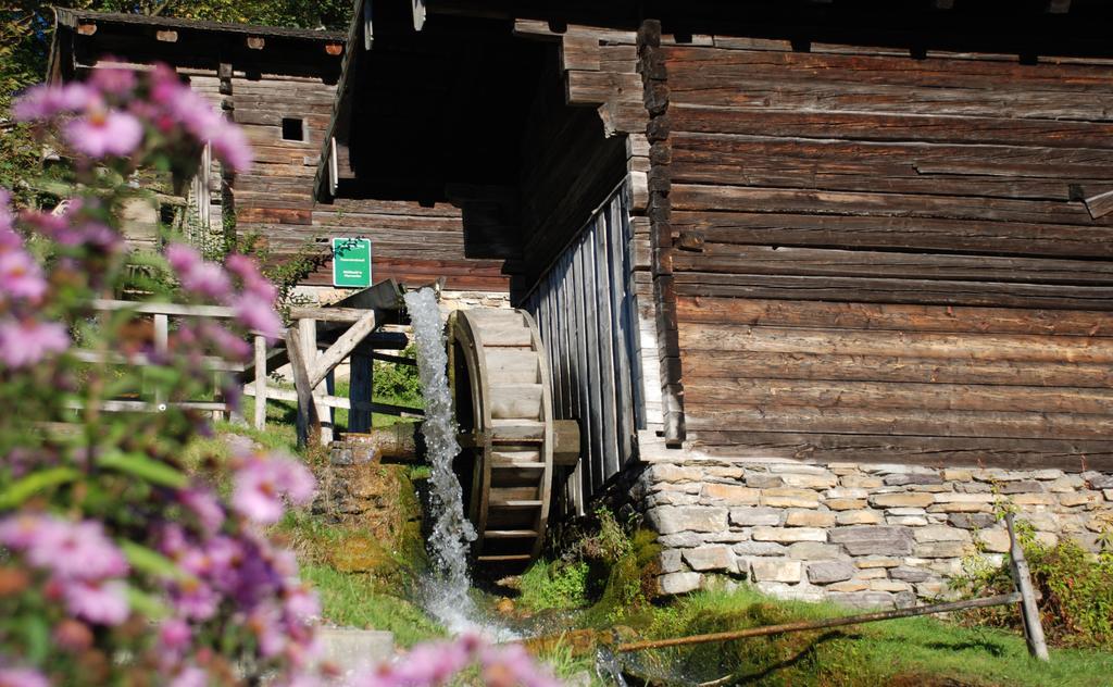 Bio-Bauernhof Einberghof Apartamento Pfarrwerfen Exterior foto