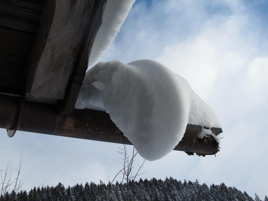 Bio-Bauernhof Einberghof Apartamento Pfarrwerfen Exterior foto