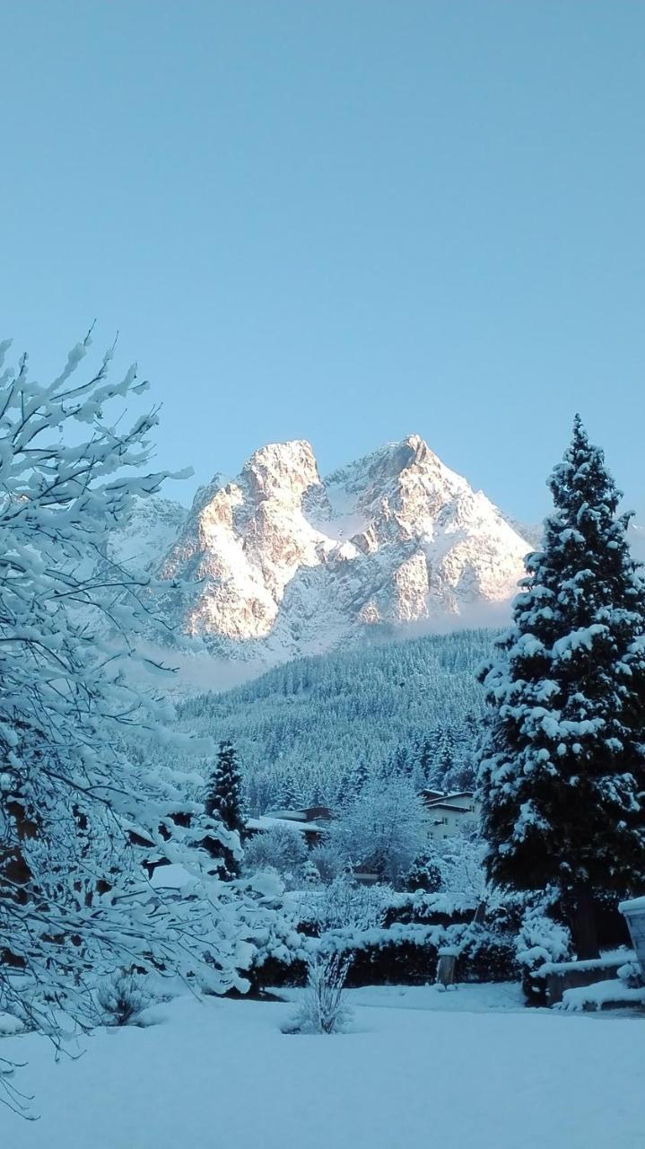 Bio-Bauernhof Einberghof Apartamento Pfarrwerfen Exterior foto